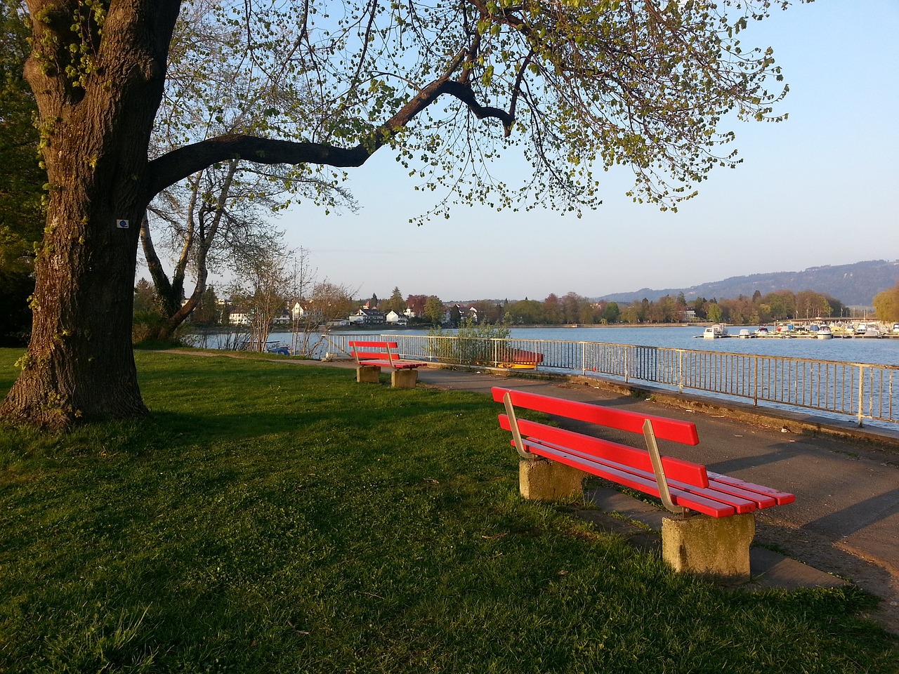 注的球队之 注的球队之