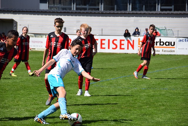 作为聘礼 作为聘礼