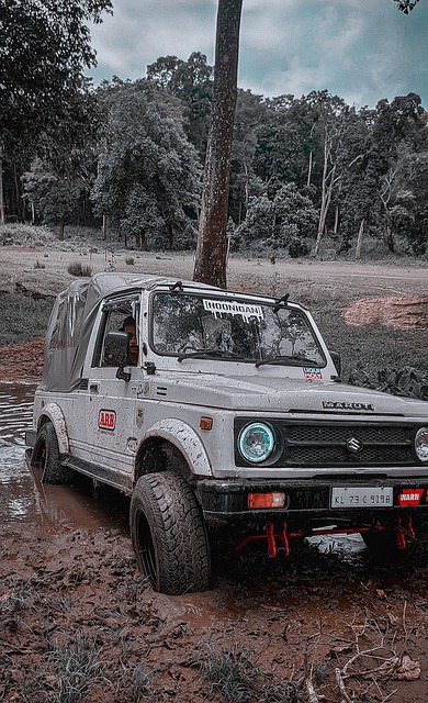 看到了更为 看到了更为