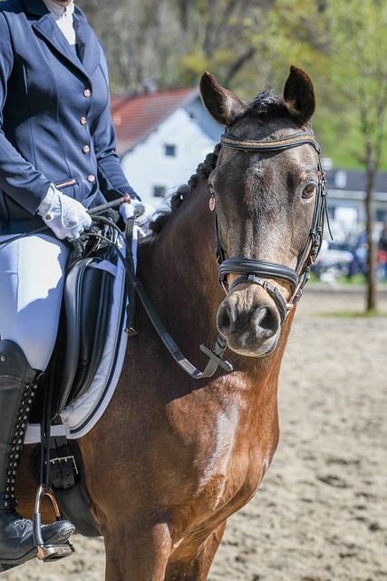 金融支持的 金融支持的