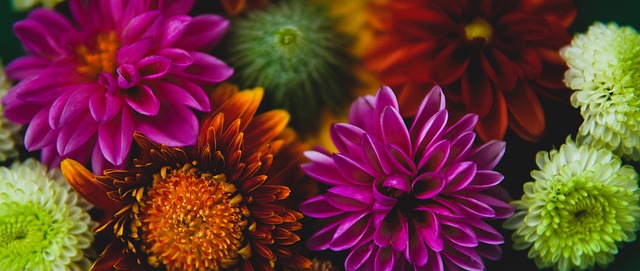 弧线球不仅 弧线球不仅