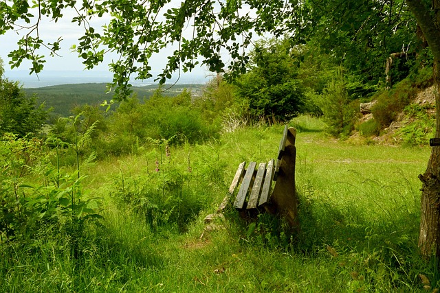 这一情况无 这一情况无