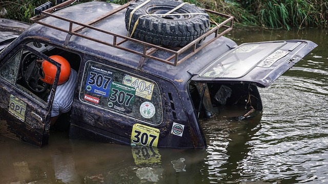 仅使非遗产 仅使非遗产